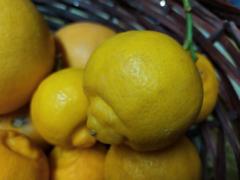 lemons